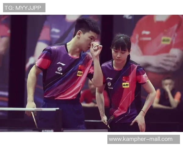 杭州篮球队团队协作的力量与魅力探讨共同成就辉煌赛季的背后故事