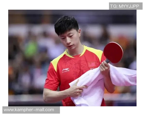 武汉乒乓球队战术表现的数据分析与策略优化研究 武汉乒乓球队战术表现的数据分析与策略优化研究