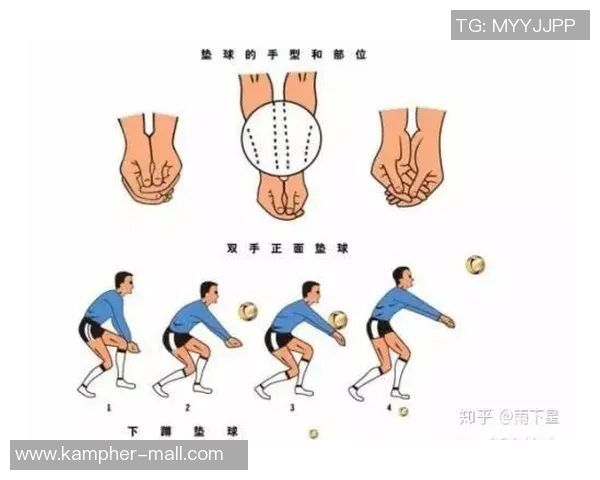 从零基础到高手：全面掌握排球节奏与技巧的实用指南