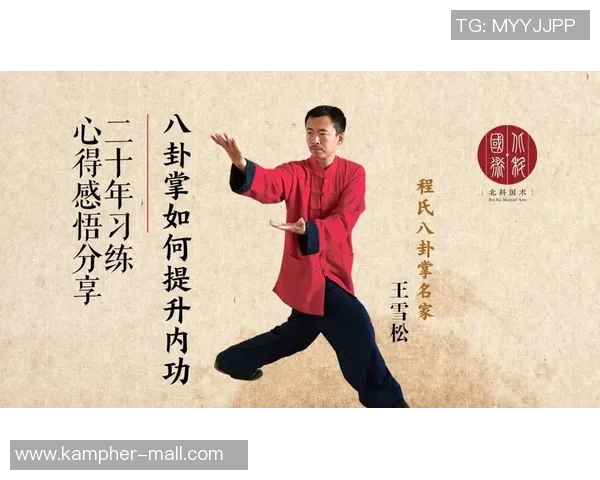 周芳独家揭秘网球技巧与心得分享助你提升球技与比赛表现