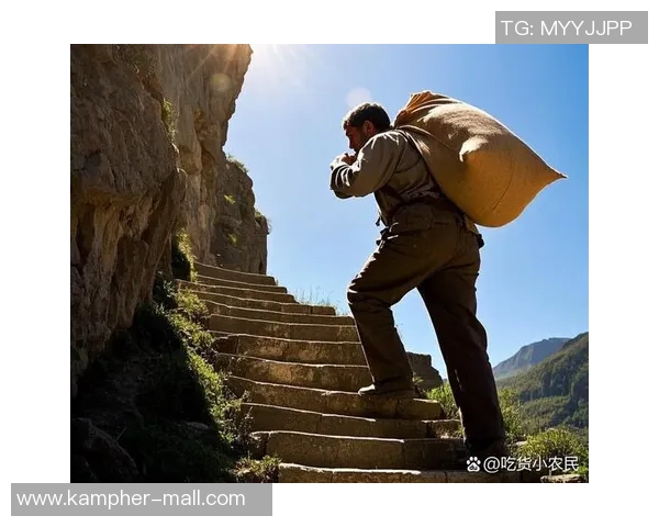 攀登人生的每一步:陈敏与深度对话的攀岩故事 攀登人生的每一步:陈敏与深度对话的攀岩故事