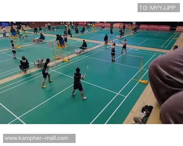 成都羽毛球队在比赛中创下新高经验排名引发关注与讨论 成都羽毛球队在比赛中创下新高经验排名引发关注与讨论