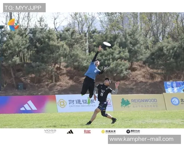 聚焦飞盘运动北京飞盘队的团队意识与文化探讨