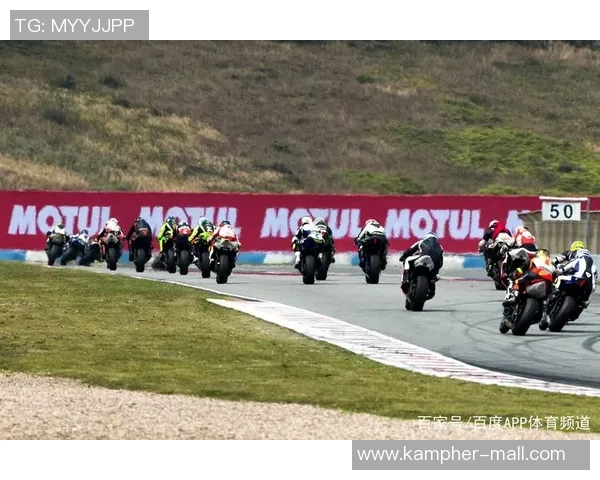 波鸿与奥厄激战正酣2018年11月24日精彩回顾与赛后分析