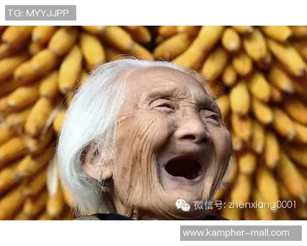 焦泊乔的成长之路：从平凡到卓越的奋斗故事与人生启示