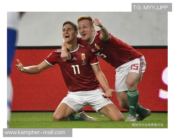 瑞典与罗马尼亚精彩对决集锦回顾分析与精彩瞬间分享